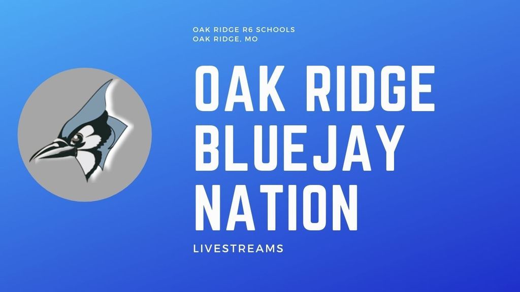 Oak Ridge Junior High girls basketball vs Scotty City