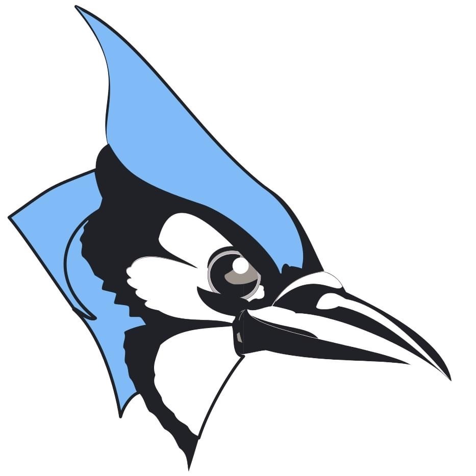 Blue jay mascot