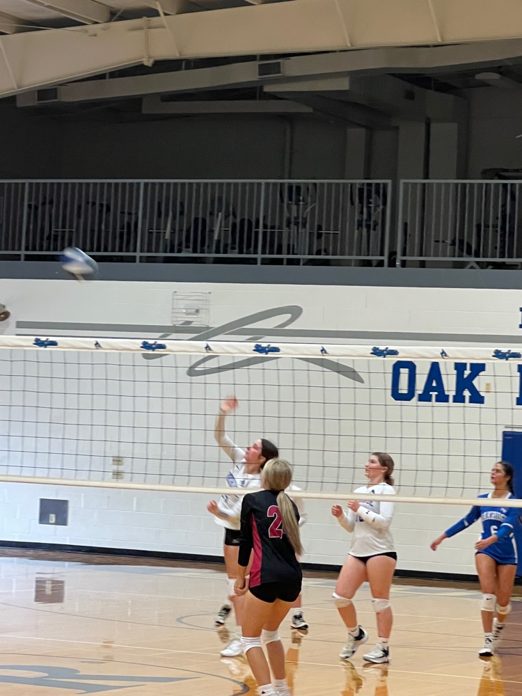 BlueJay Volleyball Action 